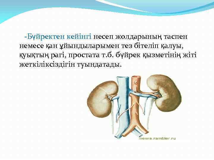 -Бүйректен кейінгі несеп жолдарының таспен немесе қан ұйындыларымен тез бітеліп қалуы, қуықтың рагі, простата