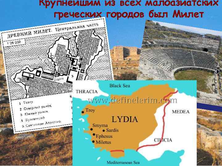 Крупнейшим из всех малоазиатских греческих городов был Милет 