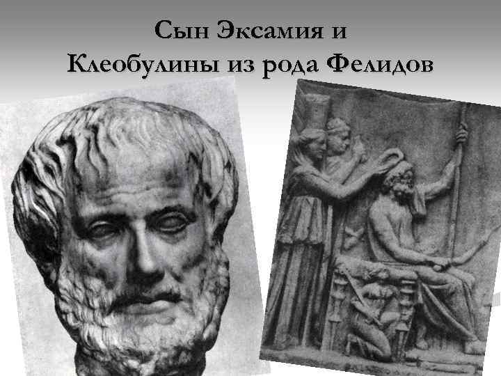 Сын Эксамия и Клеобулины из рода Фелидов 