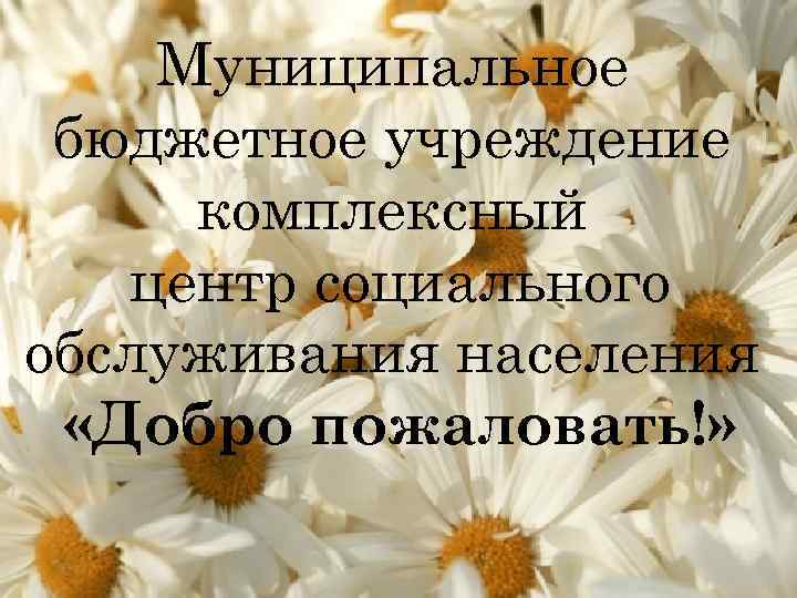 Муниципальное бюджетное учреждение комплексный центр социального обслуживания населения «Добро пожаловать!» 