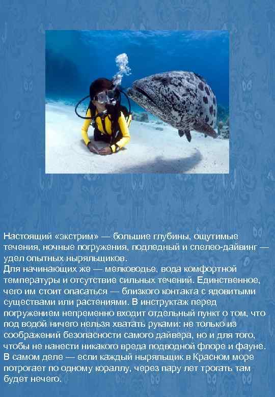 Настоящий «экстрим» — большие глубины, ощутимые течения, ночные погружения, подледный и спелео-дайвинг — удел
