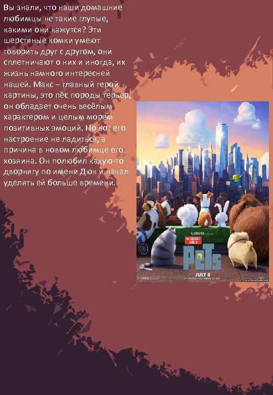 Вы знали, что наши домашние любимцы не такие глупые, какими они кажутся? Эти шерстяные