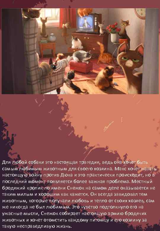 Для любой собаки это настоящая трагедия, ведь она хочет быть самым любимым животным для