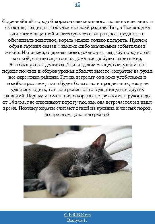 46 С древнейшей породой коратов связаны многочисленные легенды и сказания, традиции и обычаи на