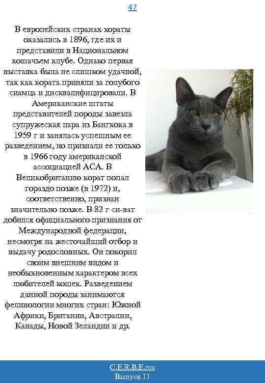 47 В европейских странах кораты оказались в 1896, где их и представили в Национальном