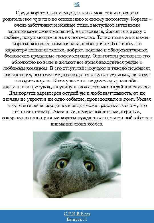 49 Среди коратов, как самцов, так и самок, сильно развито родительское чувство по отношению