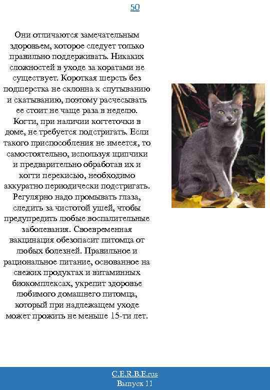 50 Они отличаются замечательным здоровьем, которое следует только правильно поддерживать. Никаких сложностей в уходе