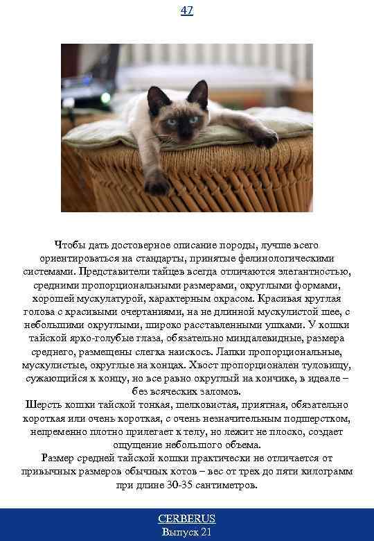 47 Чтобы дать достоверное описание породы, лучше всего ориентироваться на стандарты, принятые фелинологическими системами.