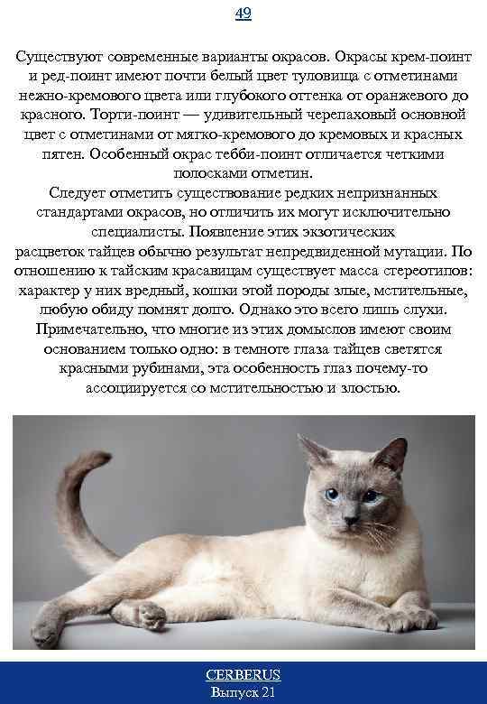 49 Существуют современные варианты окрасов. Окрасы крем-поинт и ред-поинт имеют почти белый цвет туловища