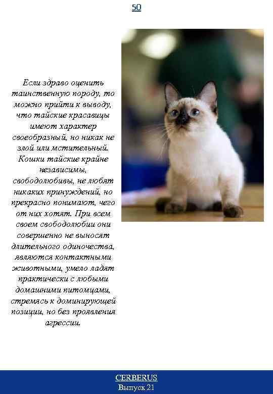 50 Если здраво оценить таинственную породу, то можно прийти к выводу, что тайские красавицы