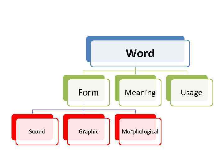 Word Form Sound Meaning Graphic Morphological Usage 