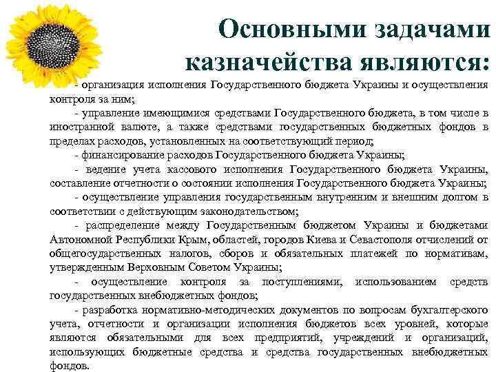 Основными задачами казначейства являются: - организация исполнения Государственного бюджета Украины и осуществления контроля за