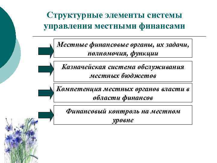 Структурные элементы системы управления местными финансами Местные финансовые органы, их задачи, полномочия, функции Казначейская