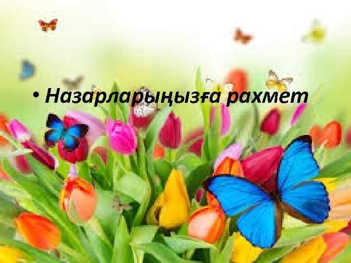  • Назарларыңызға рахмет 