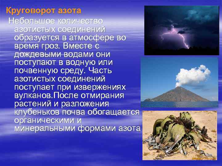 Круговорот азота Небольшое количество азотистых соединений образуется в атмосфере во время гроз. Вместе с