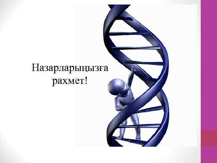 Назарларыңызға рахмет! 