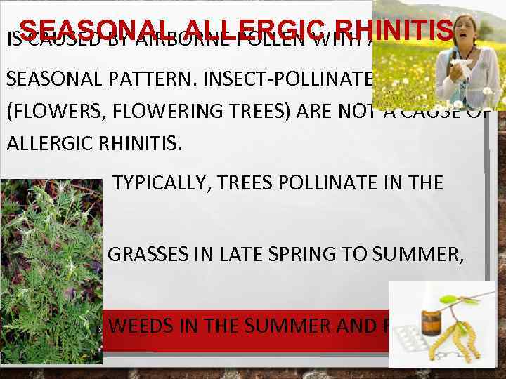 SEASONAL ALLERGIC RHINITIS IS CAUSED BY AIRBORNE POLLEN WITH A SEASONAL PATTERN. INSECT-POLLINATED PLANTS