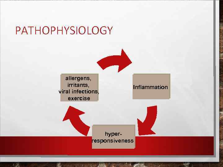 PATHOPHYSIOLOGY allergens, irritants, viral infections, exercise Inflammation hyperresponsiveness 