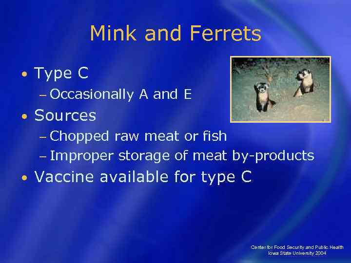 Mink and Ferrets • Type C − Occasionally • A and E Sources −