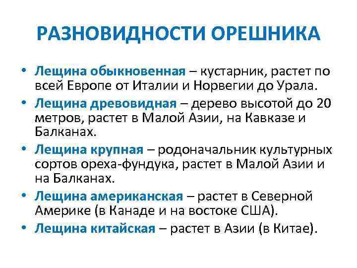 РАЗНОВИДНОСТИ ОРЕШНИКА • Лещина обыкновенная – кустарник, растет по всей Европе от Италии и