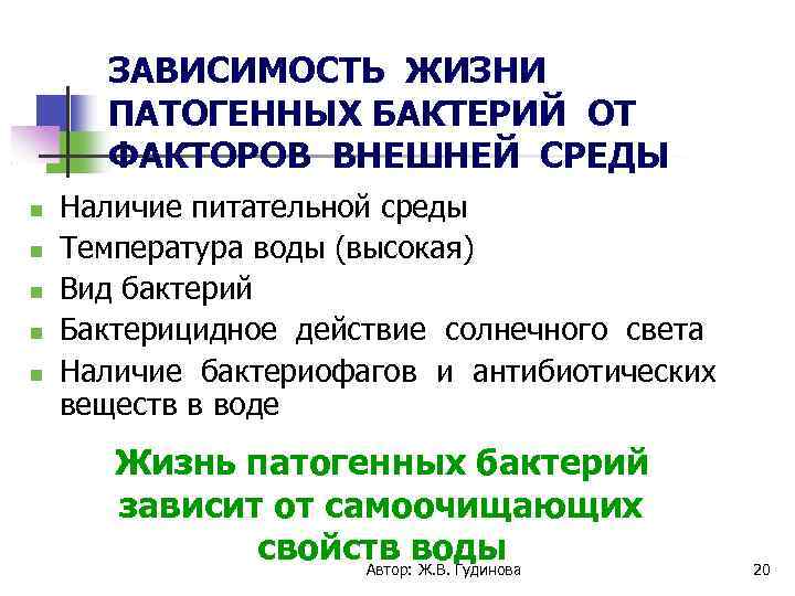 ЗАВИСИМОСТЬ ЖИЗНИ ПАТОГЕННЫХ БАКТЕРИЙ ОТ ФАКТОРОВ ВНЕШНЕЙ СРЕДЫ Наличие питательной среды Температура воды (высокая)