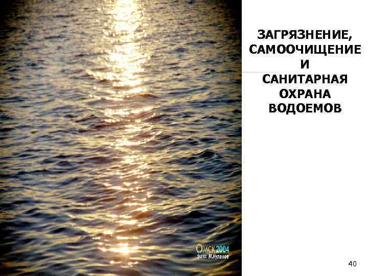 ЗАГРЯЗНЕНИЕ, САМООЧИЩЕНИЕ И САНИТАРНАЯ ОХРАНА ВОДОЕМОВ Автор: Ж. В. Гудинова 40 