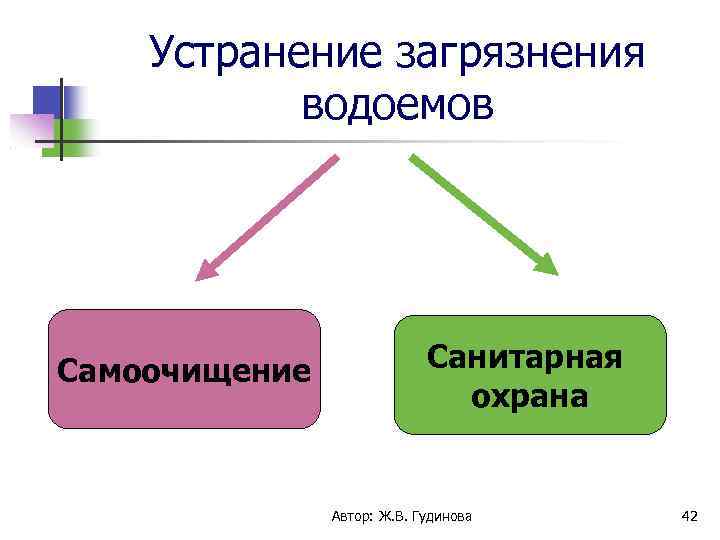 Устранение загрязнения водоемов Самоочищение Санитарная охрана Автор: Ж. В. Гудинова 42 