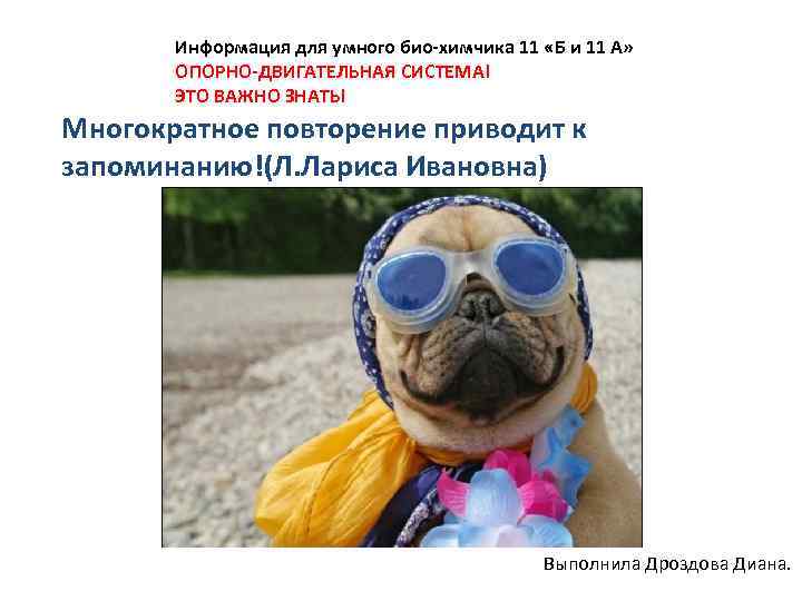 Информация для умного био-химчика 11 «Б и 11 А» ОПОРНО-ДВИГАТЕЛЬНАЯ СИСТЕМА! ЭТО ВАЖНО ЗНАТЬ!