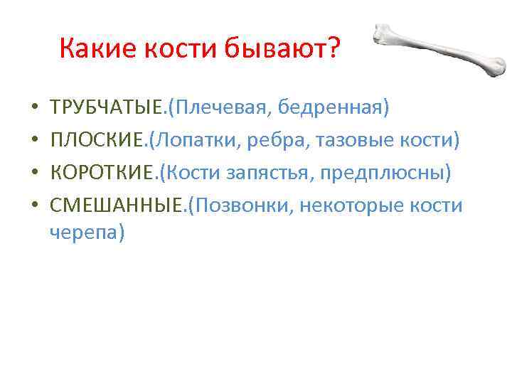 Какие кости бывают? • • ТРУБЧАТЫЕ. (Плечевая, бедренная) ПЛОСКИЕ. (Лопатки, ребра, тазовые кости) КОРОТКИЕ.