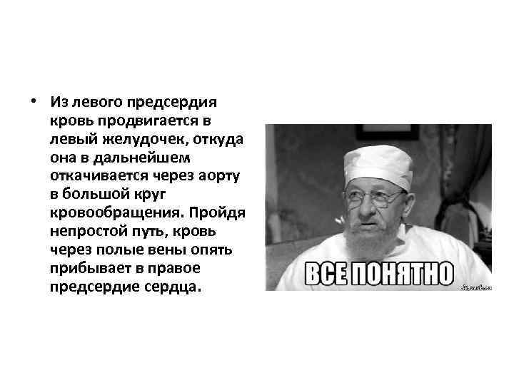  • Из левого предсердия кровь продвигается в левый желудочек, откуда она в дальнейшем