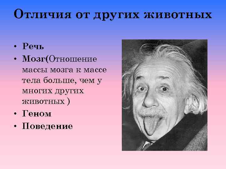 Отличия от других животных • Речь • Мозг(Отношение массы мозга к массе тела больше,