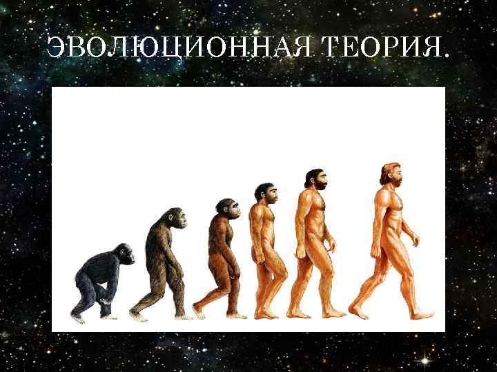 ЭВОЛЮЦИОННАЯ ТЕОРИЯ. 