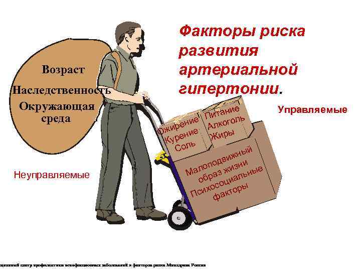Возраст Наследственность Окружающая среда Неуправляемые Факторы риска развития артериальной гипертонии. ие итан ь П