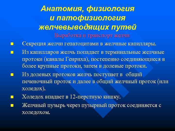 Анатомия, физиология и патофизиология желчевыводящих путей n n n Выработка и транспорт желчи Секреция