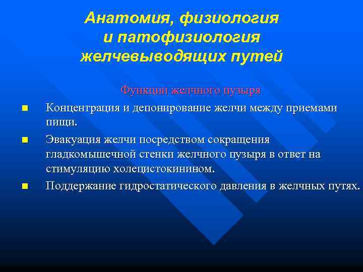 Анатомия, физиология и патофизиология желчевыводящих путей n n n Функции желчного пузыря Концентрация и