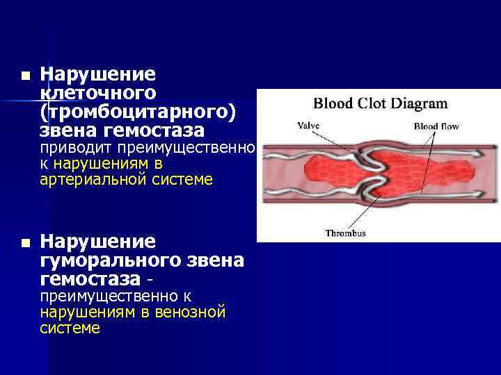 n Нарушение клеточного (тромбоцитарного) звена гемостаза приводит преимущественно к нарушениям в артериальной системе n