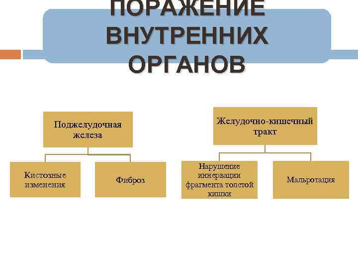 ПОРАЖЕНИЕ ВНУТРЕННИХ ОРГАНОВ Поджелудочная железа Кистозные изменения Фиброз Желудочно-кишечный тракт Нарушение иннервации фрагмента толстой