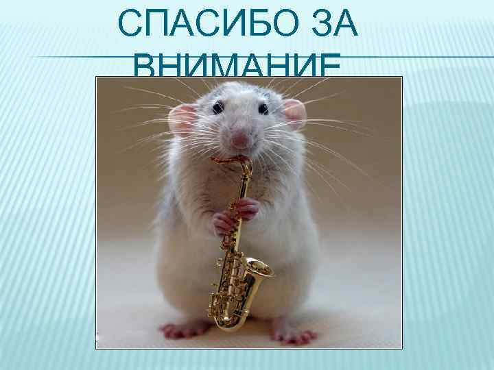 СПАСИБО ЗА ВНИМАНИЕ 