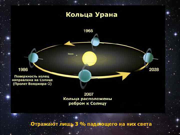 Отражают лишь 3 % падающего на них света 