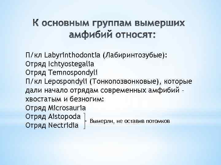 П/кл Labyrinthodontia (Лабиринтозубые): Отряд Ichtyostegalia Отряд Temnospondyli П/кл Lepospondyli (Тонкопозвонковые), которые дали начало отрядам