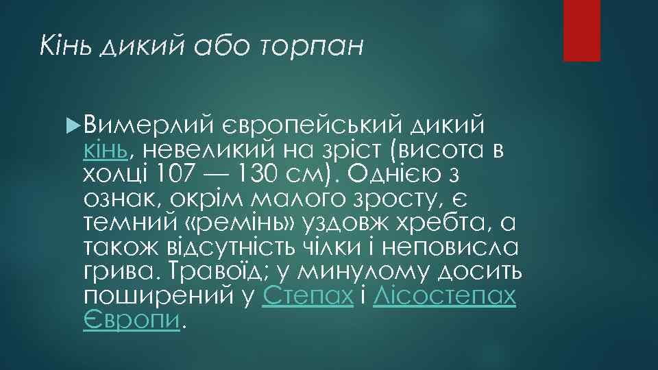 Кінь дикий або торпан Вимерлий європейський дикий кінь, невеликий на зріст (висота в холці