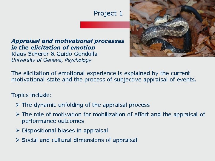 Project 1 Appraisal and motivational processes in the elicitation of emotion Klaus Scherer &