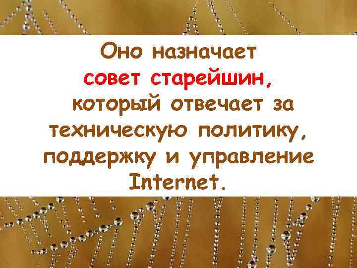Оно назначает совет старейшин, который отвечает за техническую политику, поддержку и управление Internet. 
