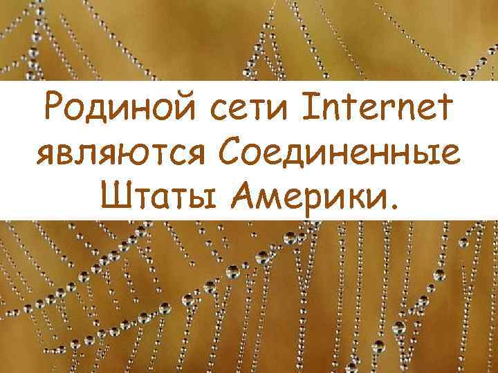 Родиной сети Internet являются Соединенные Штаты Америки. 
