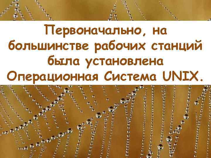 Первоначально, на большинстве рабочих станций была установлена Операционная Система UNIX. 