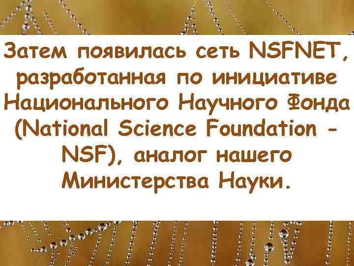 Затем появилась сеть NSFNET, разработанная по инициативе Национального Научного Фонда (National Science Foundation NSF),