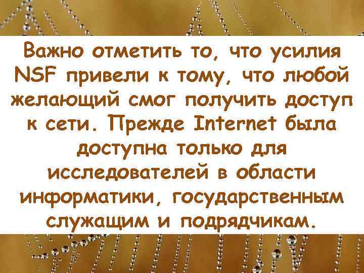 Важно отметить то, что усилия NSF привели к тому, что любой желающий смог получить