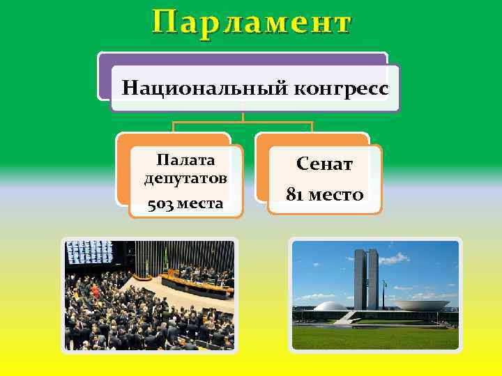 Парламент Национальный конгресс Палата депутатов 503 места Сенат 81 место 