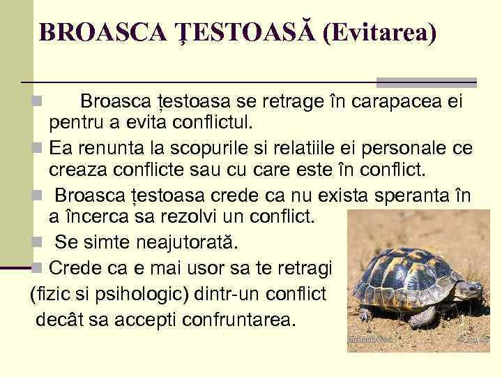 BROASCA ŢESTOASĂ (Evitarea) Broasca țestoasa se retrage în carapacea ei pentru a evita conflictul.