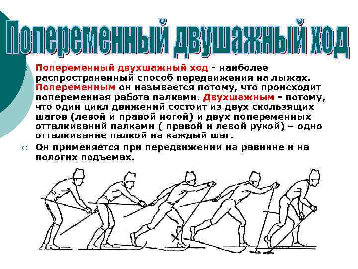 ¡ ¡ Попеременный двухшажный ход - наиболее распространенный способ передвижения на лыжах. Попеременным он